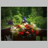 Angie-Basinger_Bluebirds-on-Porch_FB_06-06-14_2203733695303142842_n.jpg